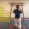 Single Punch Series